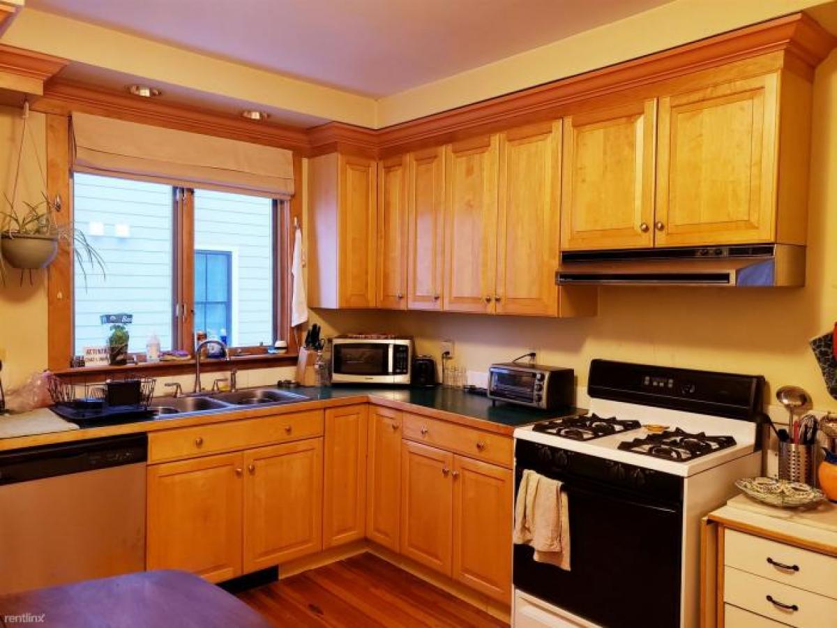 Picture of Apartment For Rent in Jamaica Plain, Massachusetts, United States