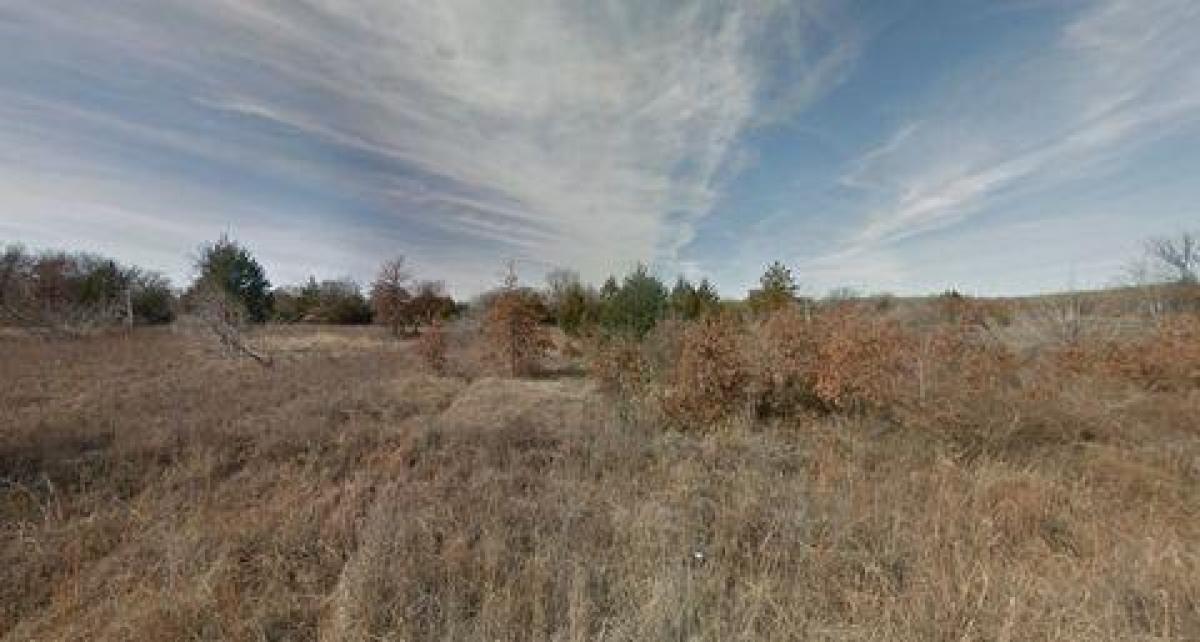 Picture of Residential Land For Sale in Bowie, Texas, United States