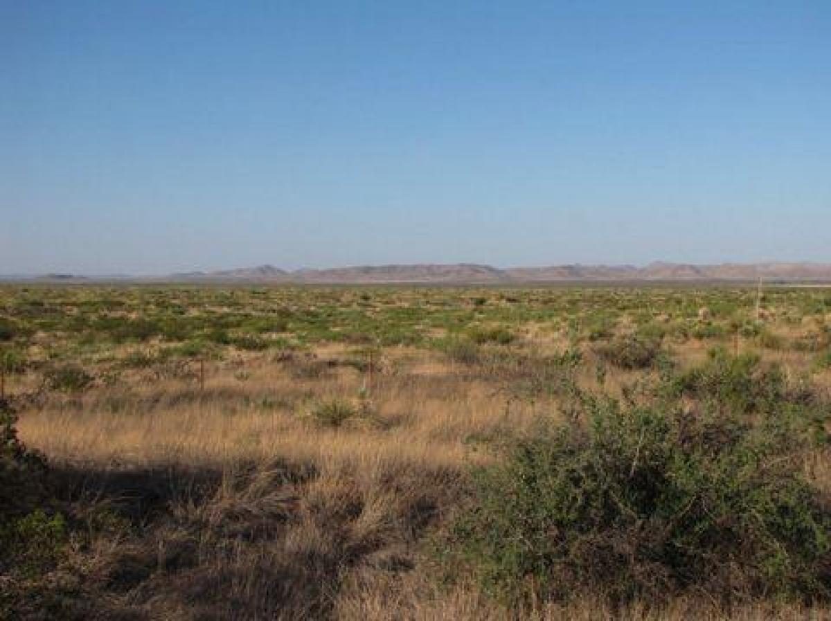 Picture of Residential Land For Sale in Van Horn, Texas, United States