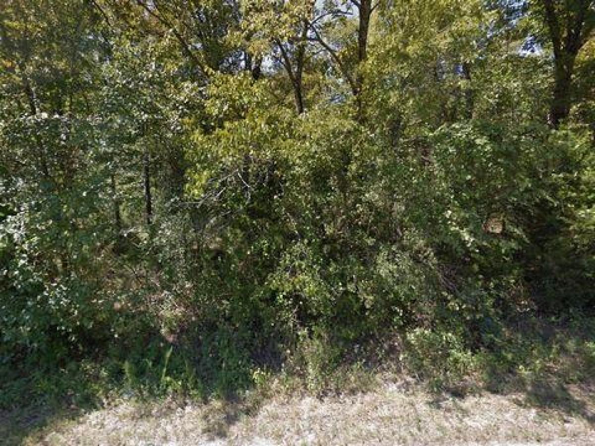 Picture of Residential Land For Sale in Cherokee Village, Arkansas, United States