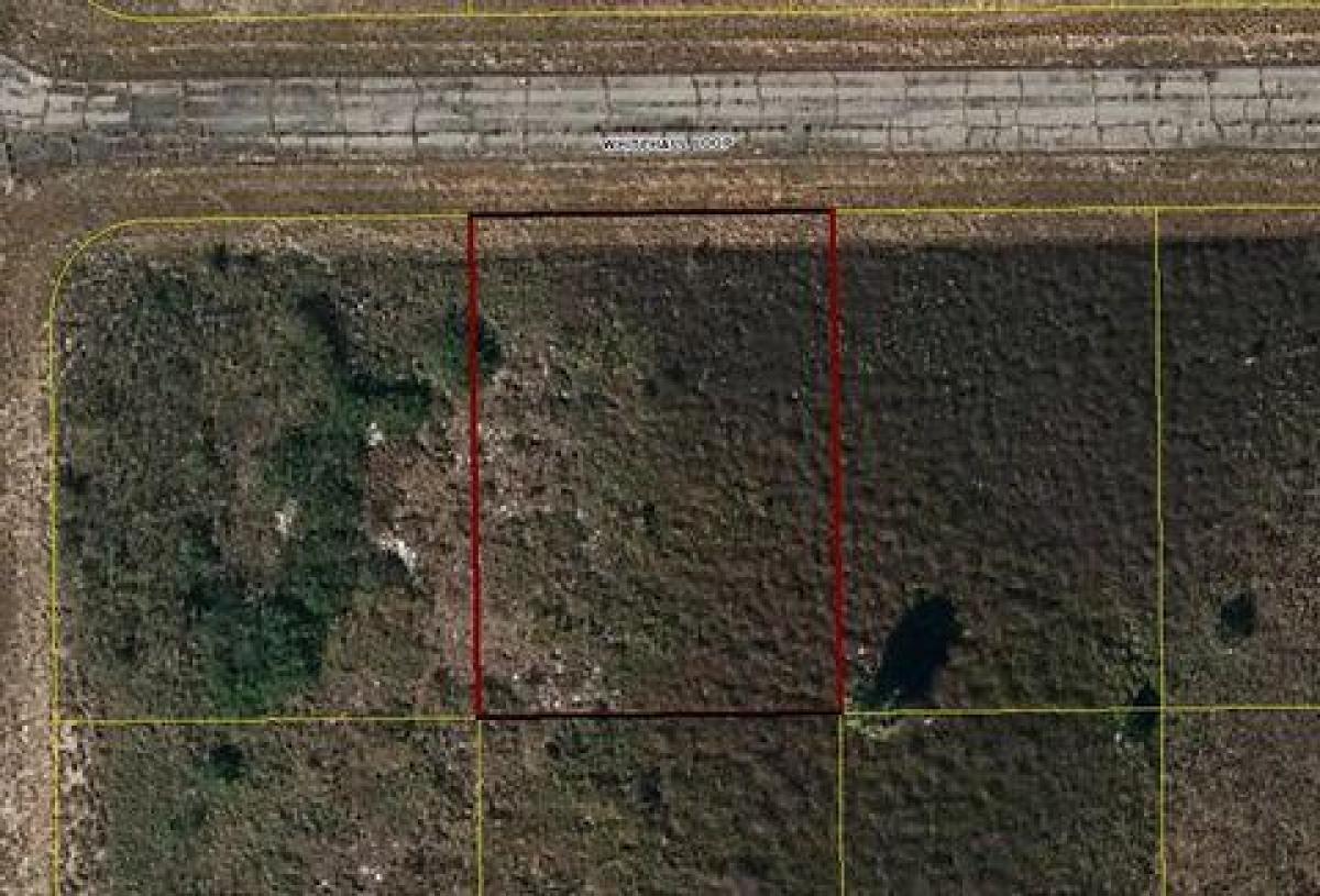 Picture of Residential Land For Sale in Labelle, Florida, United States