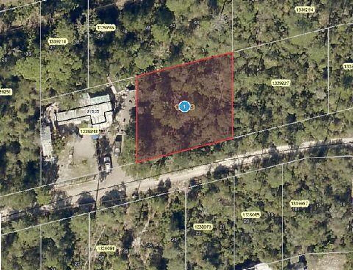 Picture of Residential Land For Sale in Paisley, Florida, United States