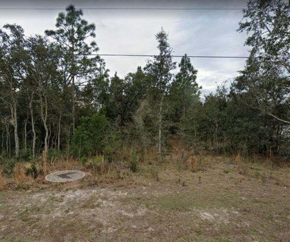 Picture of Residential Land For Sale in Spring Hill, Florida, United States