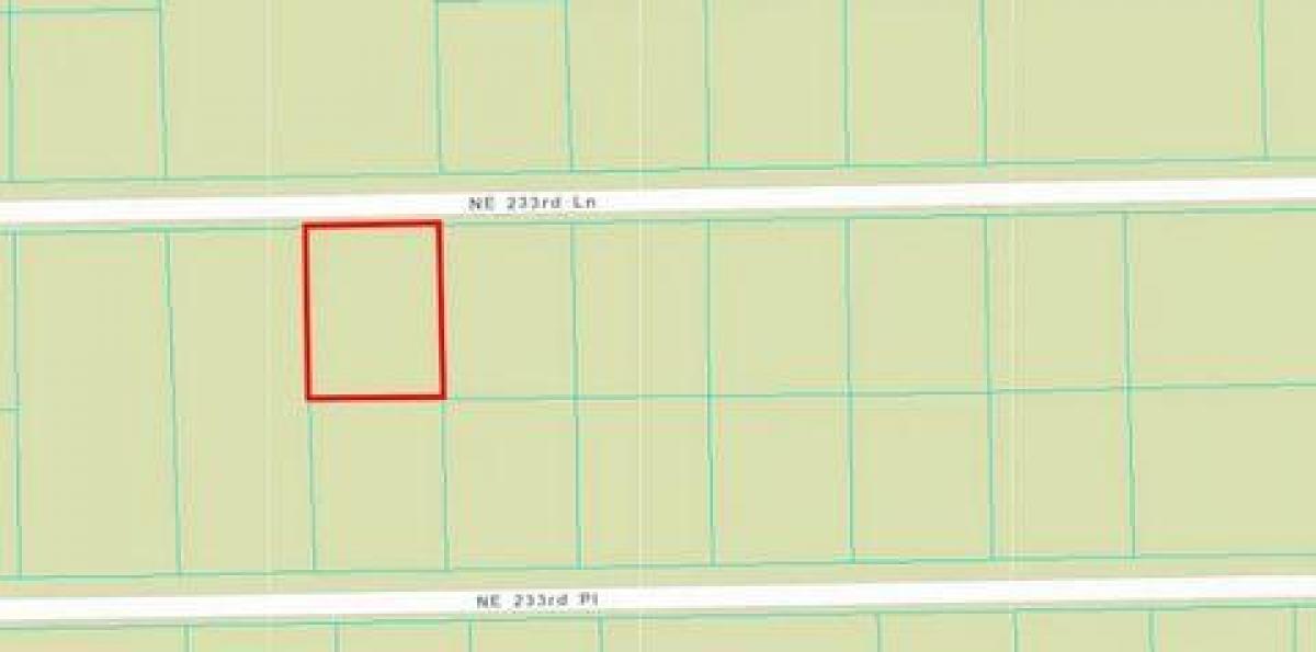 Picture of Residential Land For Sale in Fort Mccoy, Florida, United States