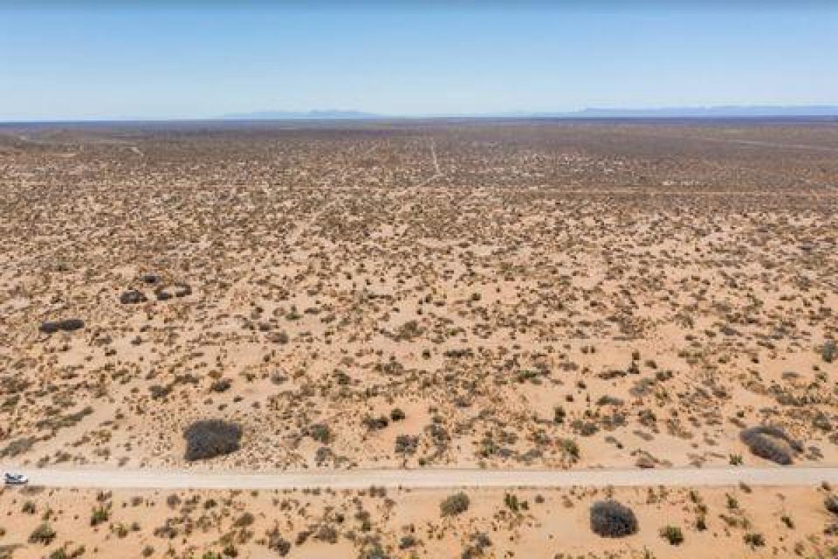 Picture of Residential Land For Sale in Clint, Texas, United States