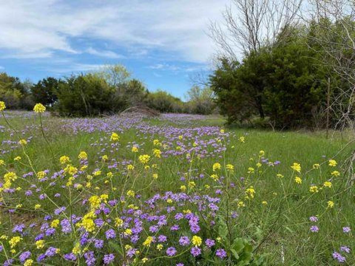 Picture of Residential Land For Sale in Gordon, Texas, United States