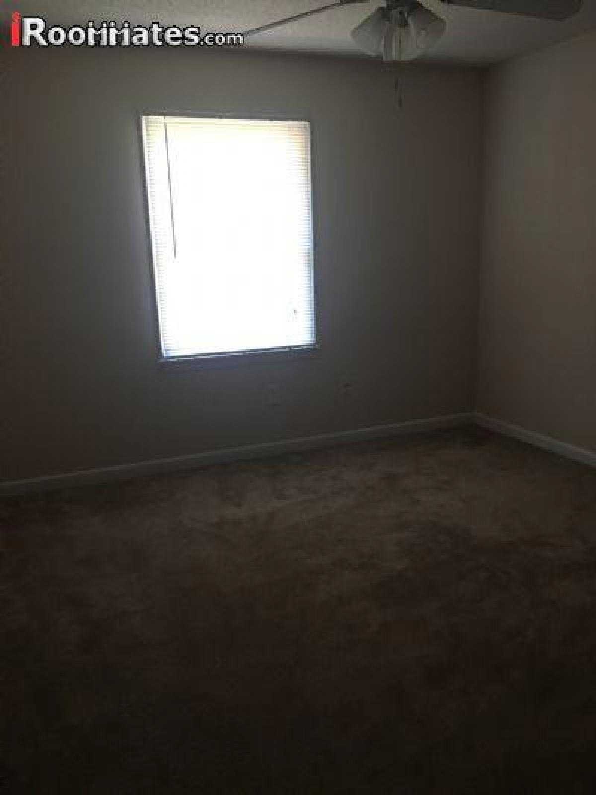 Picture of Apartment For Rent in Richland, South Carolina, United States