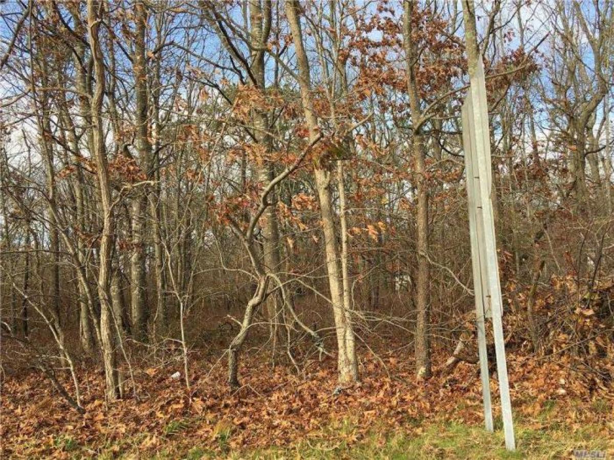 Picture of Residential Land For Sale in Mastic, New York, United States