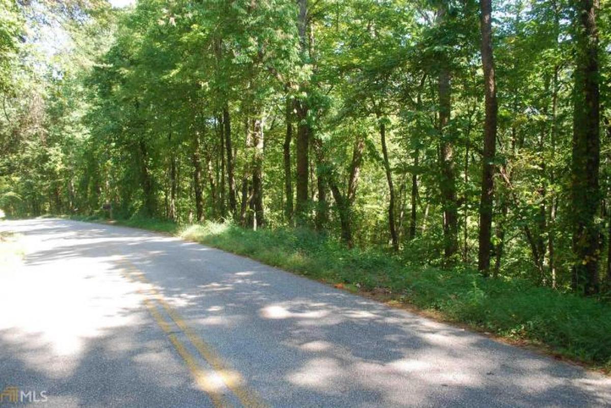 Picture of Residential Land For Sale in Tiger, Georgia, United States