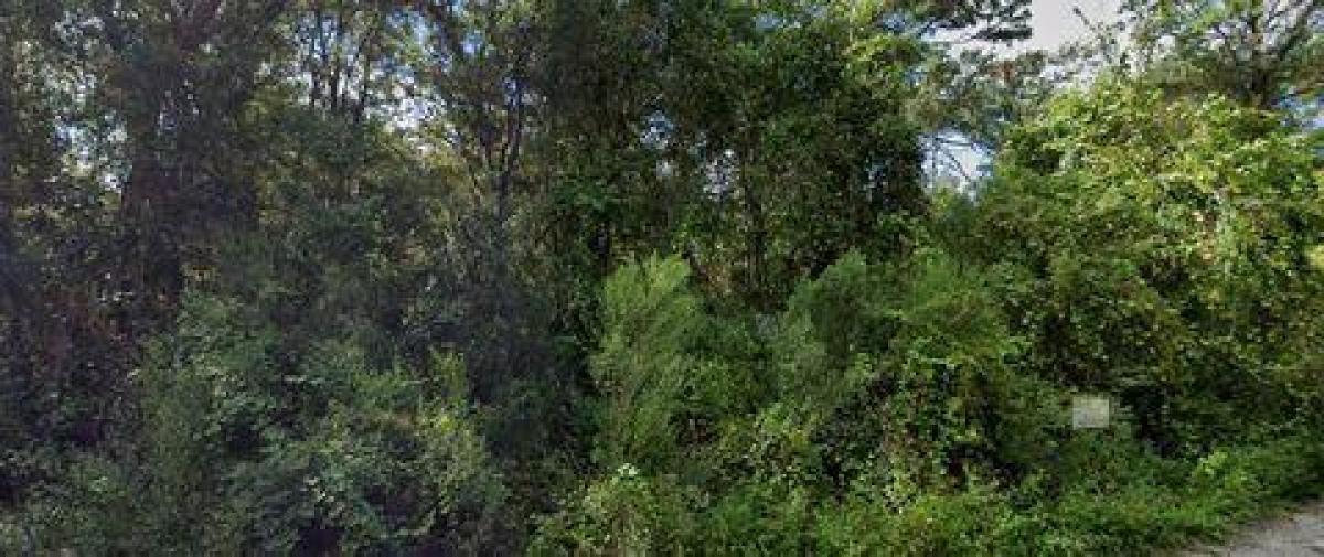 Picture of Residential Land For Sale in New Port Richey, Florida, United States