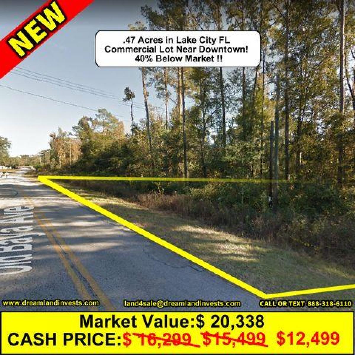 Picture of Residential Land For Sale in Lake City, Florida, United States