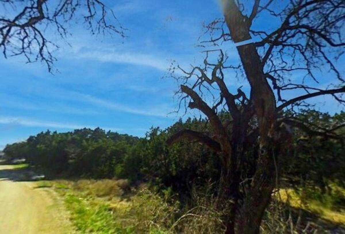 Picture of Residential Land For Sale in Whitney, Texas, United States