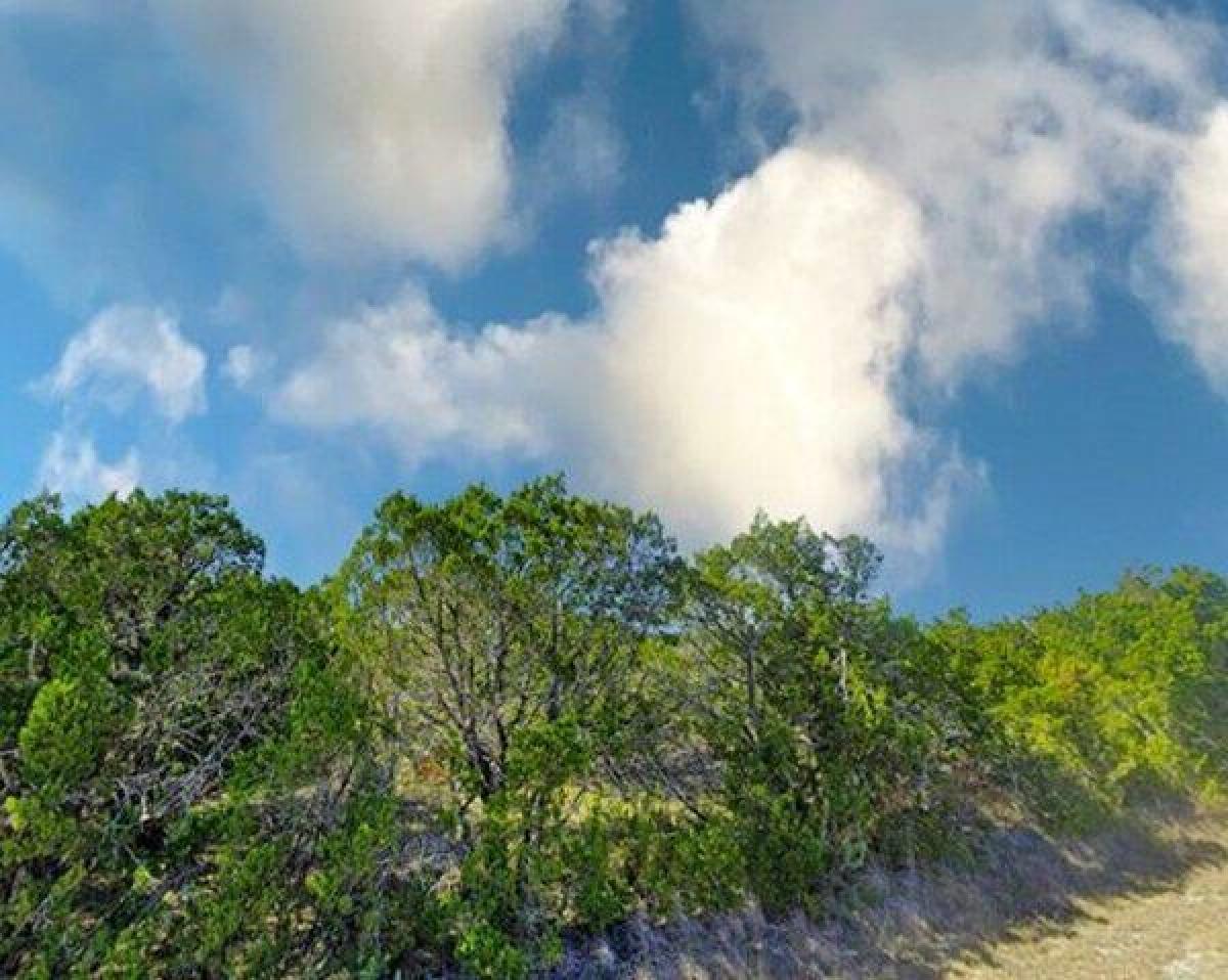 Picture of Residential Land For Sale in Cleburne, Texas, United States