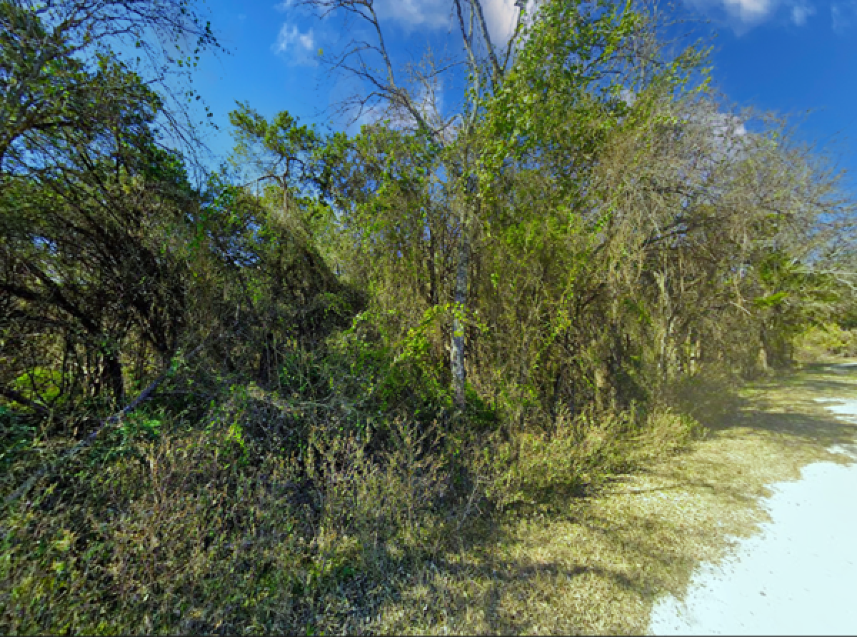 Picture of Residential Land For Sale in Whitney, Texas, United States