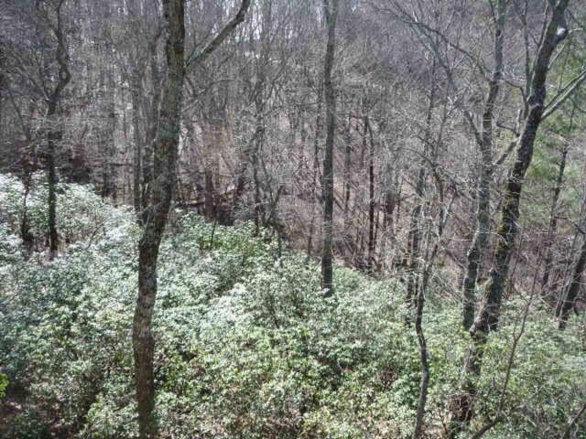 Picture of Residential Land For Sale in Big Canoe, Georgia, United States