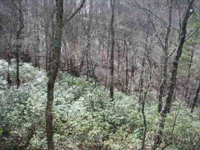 Residential Land For Sale in Big Canoe, Georgia