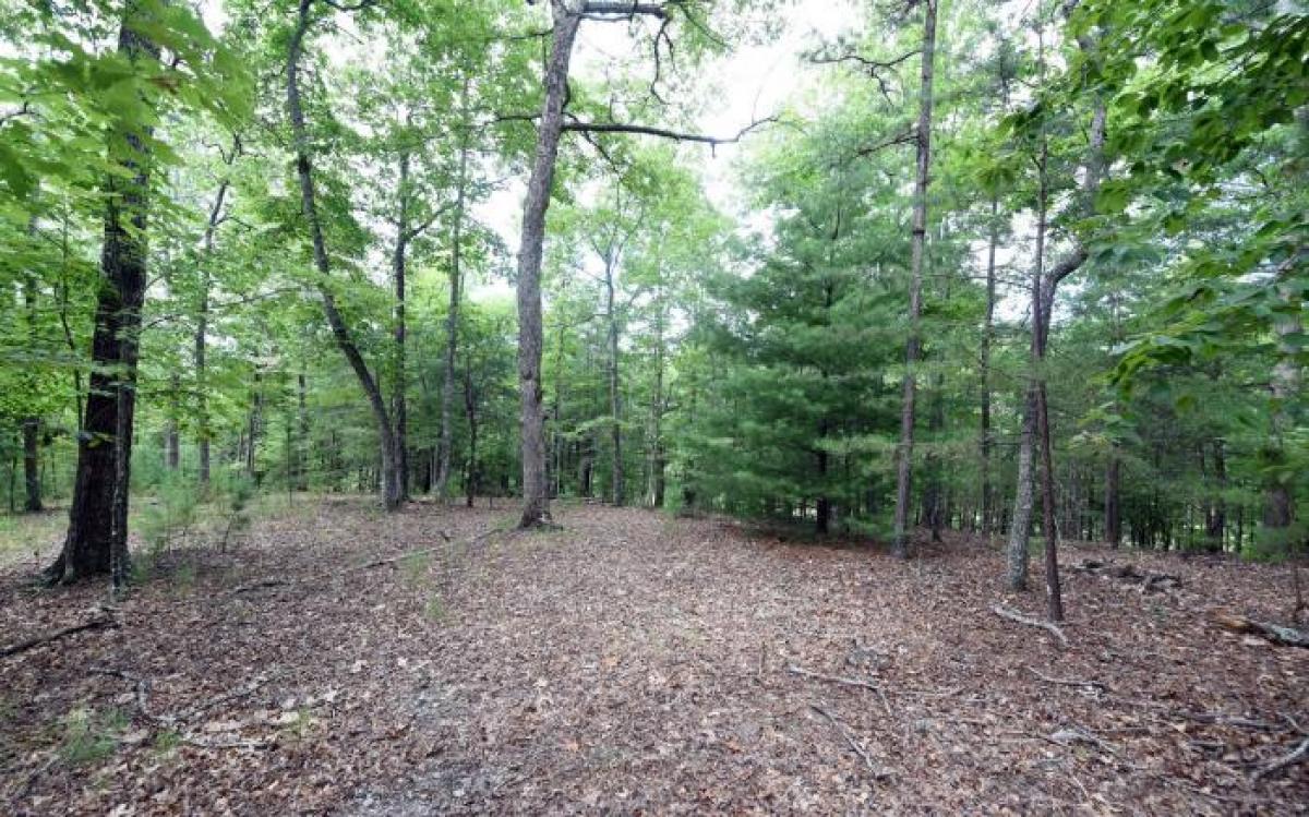 Picture of Residential Land For Sale in Young Harris, Georgia, United States