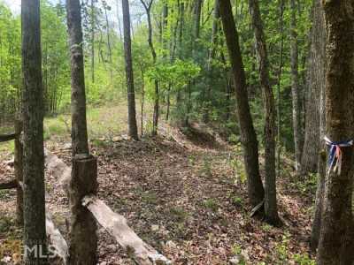 Farm For Sale in Mineral Bluff, Georgia