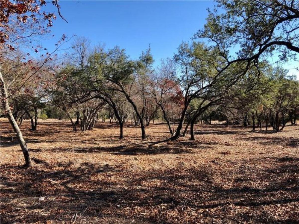 Picture of Residential Land For Sale in Liberty Hill, Texas, United States