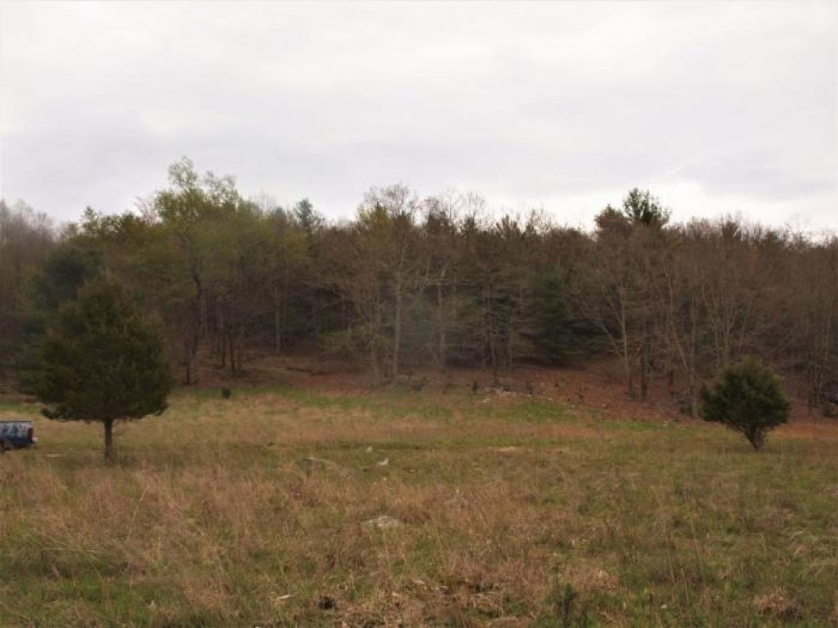 Picture of Home For Sale in Franklin, West Virginia, United States