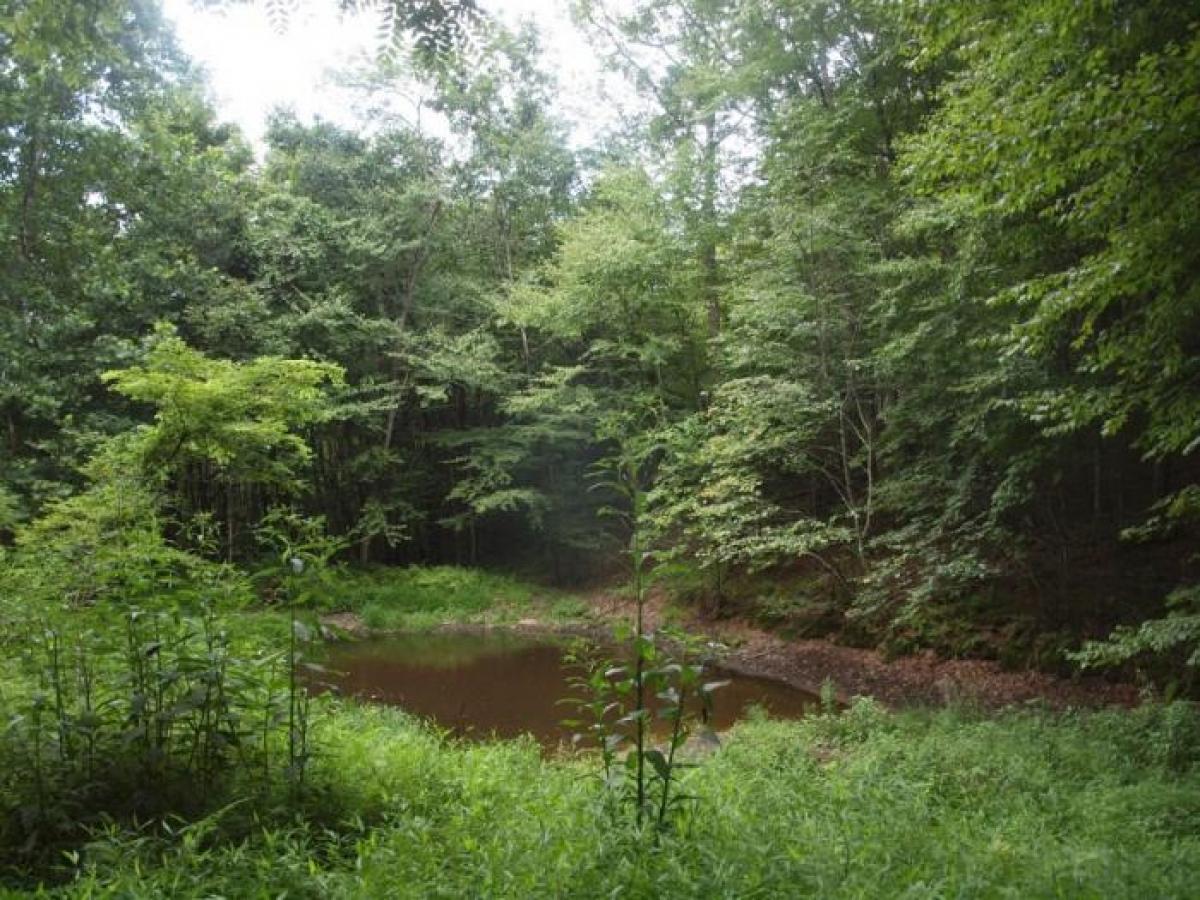 Picture of Home For Sale in Franklin, West Virginia, United States