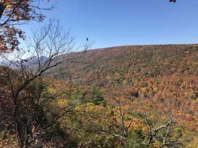 Home For Sale in Cabins, West Virginia