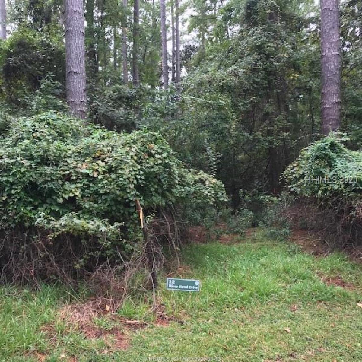 Picture of Residential Land For Sale in Okatie, South Carolina, United States