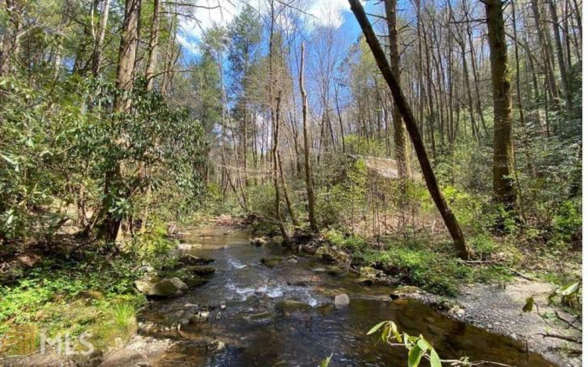 Picture of Farm For Sale in Blue Ridge, Georgia, United States