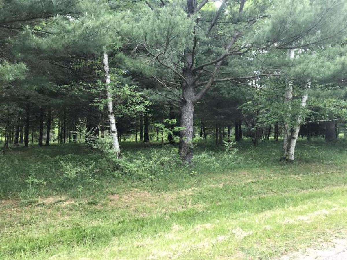 Picture of Residential Land For Sale in South Haven, Michigan, United States