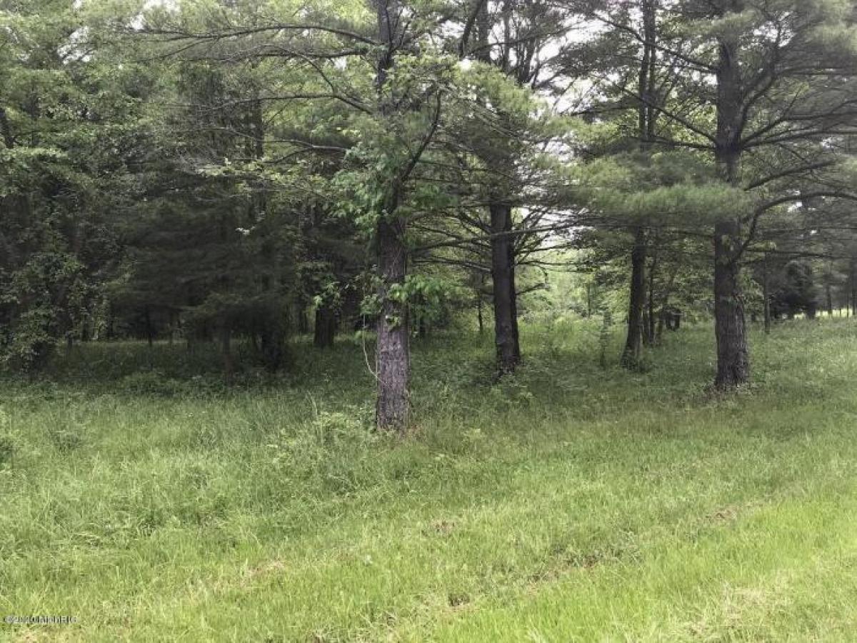 Picture of Residential Land For Sale in South Haven, Michigan, United States