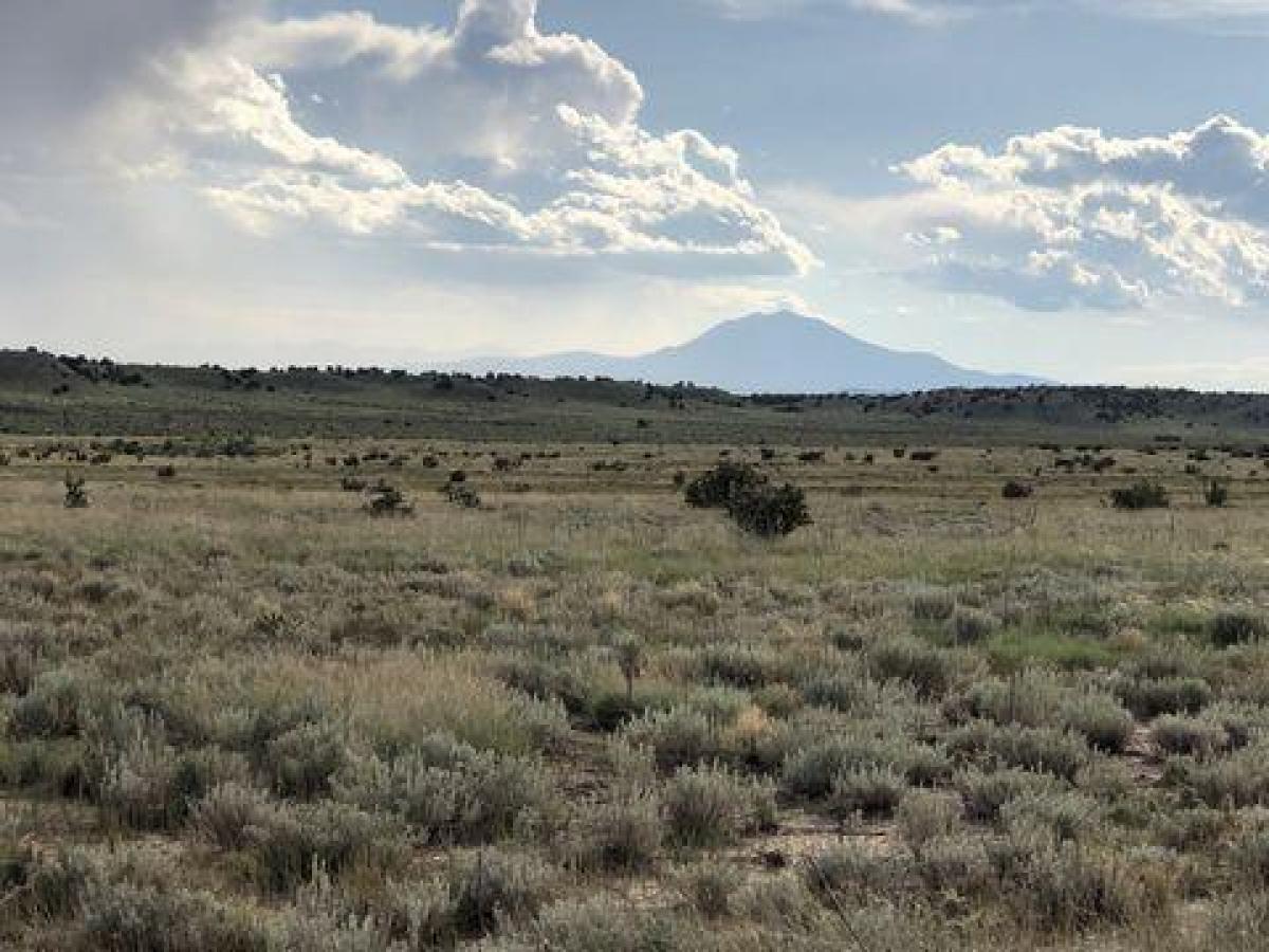 Picture of Residential Land For Sale in Model, Colorado, United States