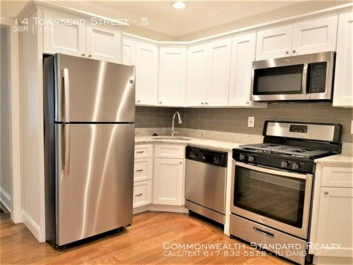 Picture of Apartment For Rent in Roxbury, Massachusetts, United States