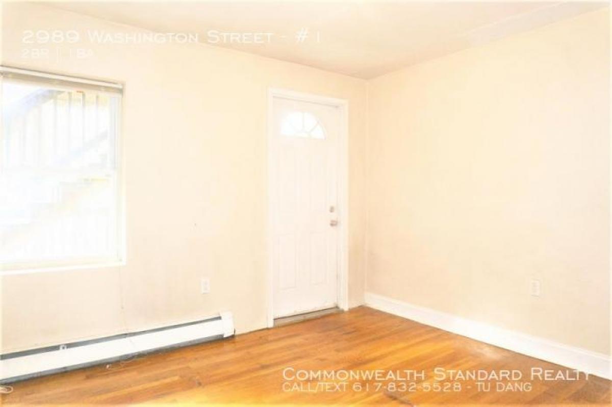 Picture of Apartment For Rent in Roxbury, Massachusetts, United States