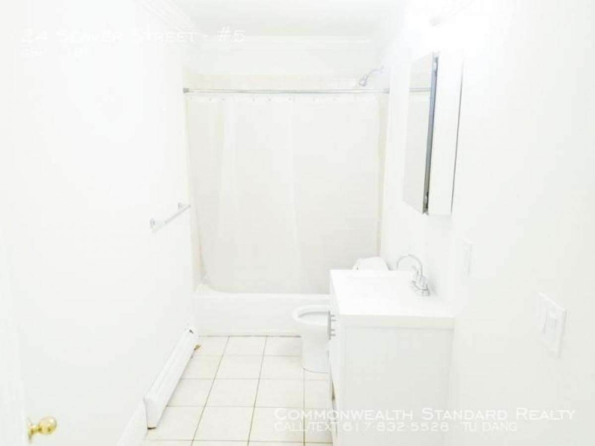 Picture of Apartment For Rent in Dorchester, Massachusetts, United States