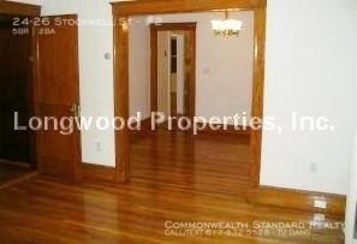 Picture of Apartment For Rent in Mission Hill, Massachusetts, United States