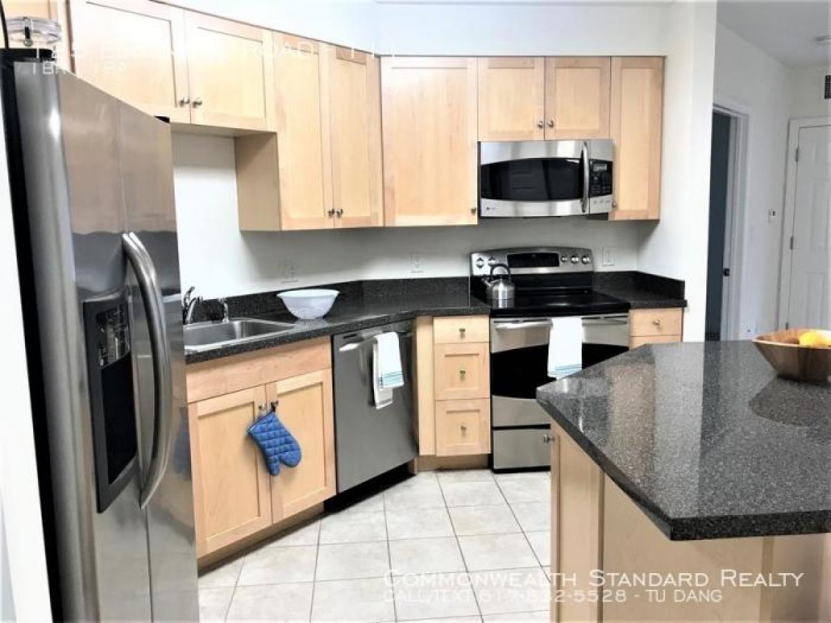 Picture of Apartment For Rent in West Roxbury, Massachusetts, United States