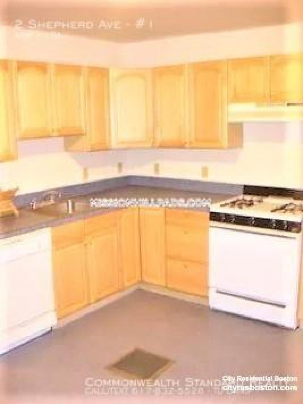 Picture of Apartment For Rent in Mission Hill, Massachusetts, United States