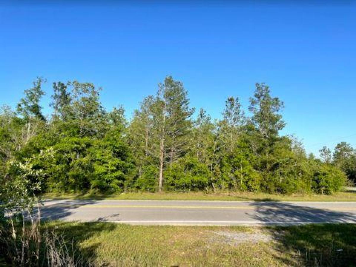 Picture of Residential Land For Sale in Altha, Florida, United States