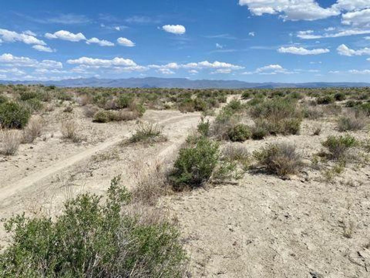 Picture of Residential Land For Sale in Fallon, Nevada, United States