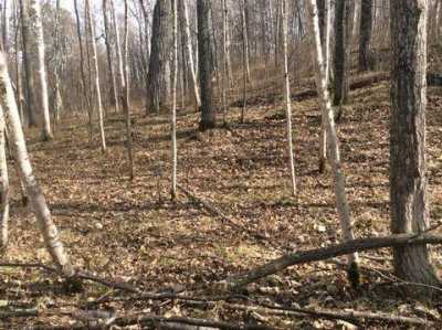 Residential Land For Sale in 