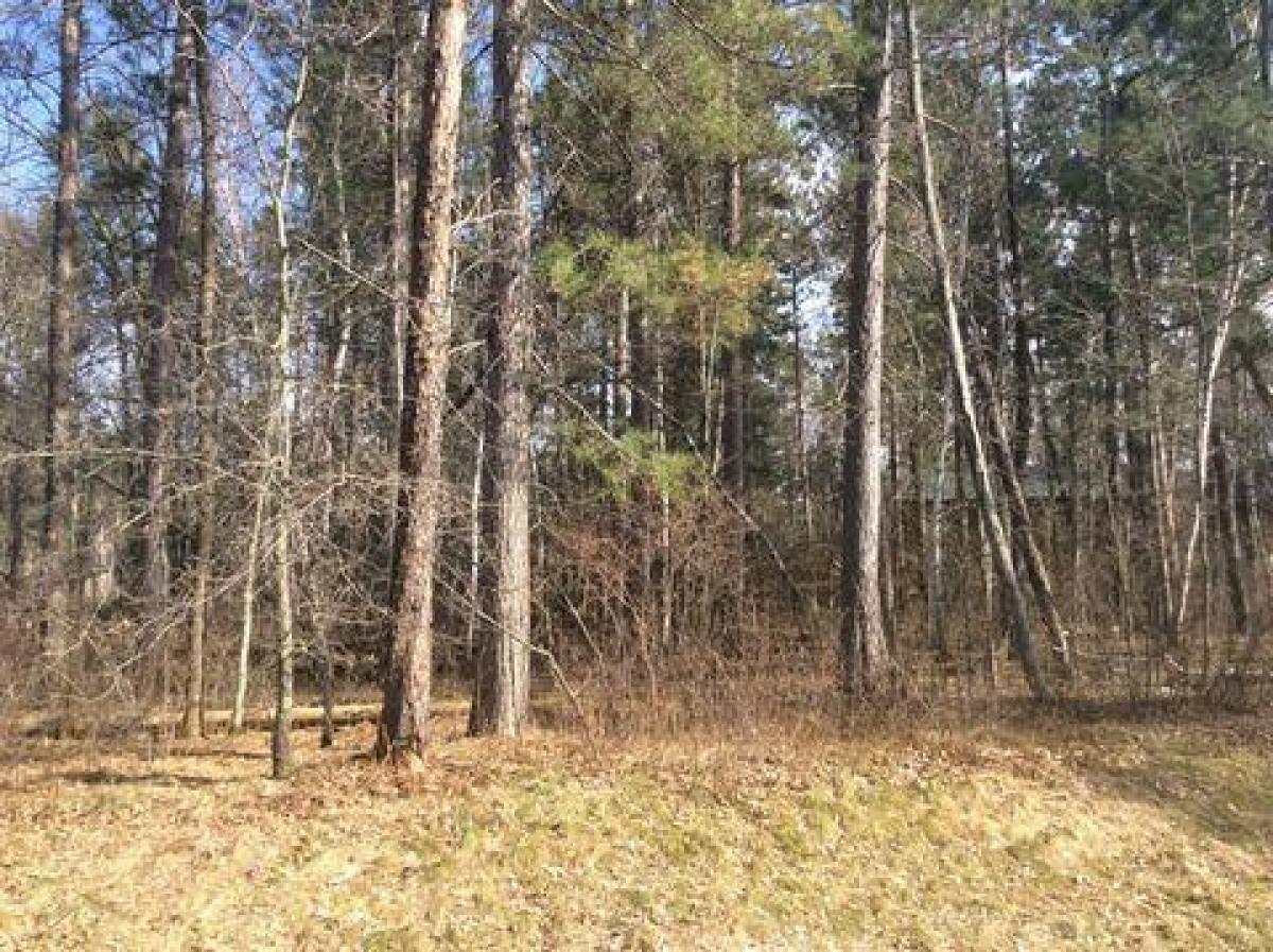 Picture of Residential Land For Sale in Breezy Point, Minnesota, United States