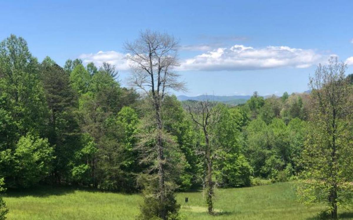 Picture of Residential Land For Sale in Young Harris, Georgia, United States