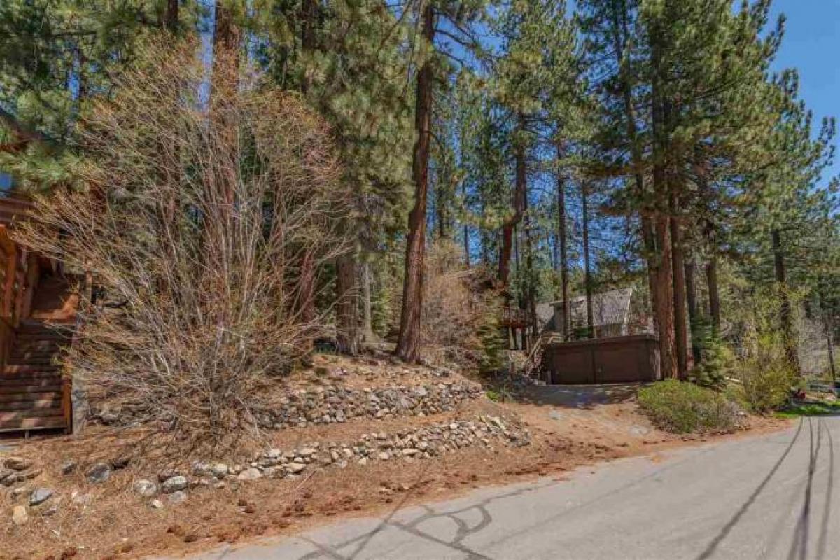 Picture of Residential Land For Sale in Truckee, California, United States