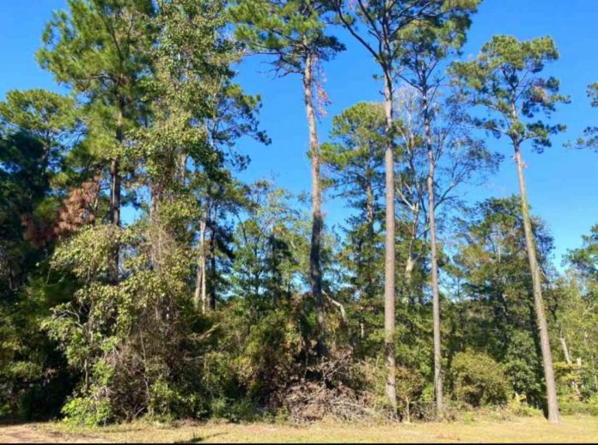 Picture of Residential Land For Sale in Hemphill, Texas, United States