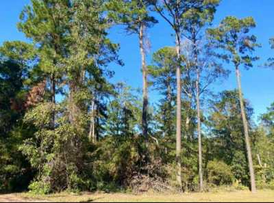 Residential Land For Sale in Hemphill, Texas