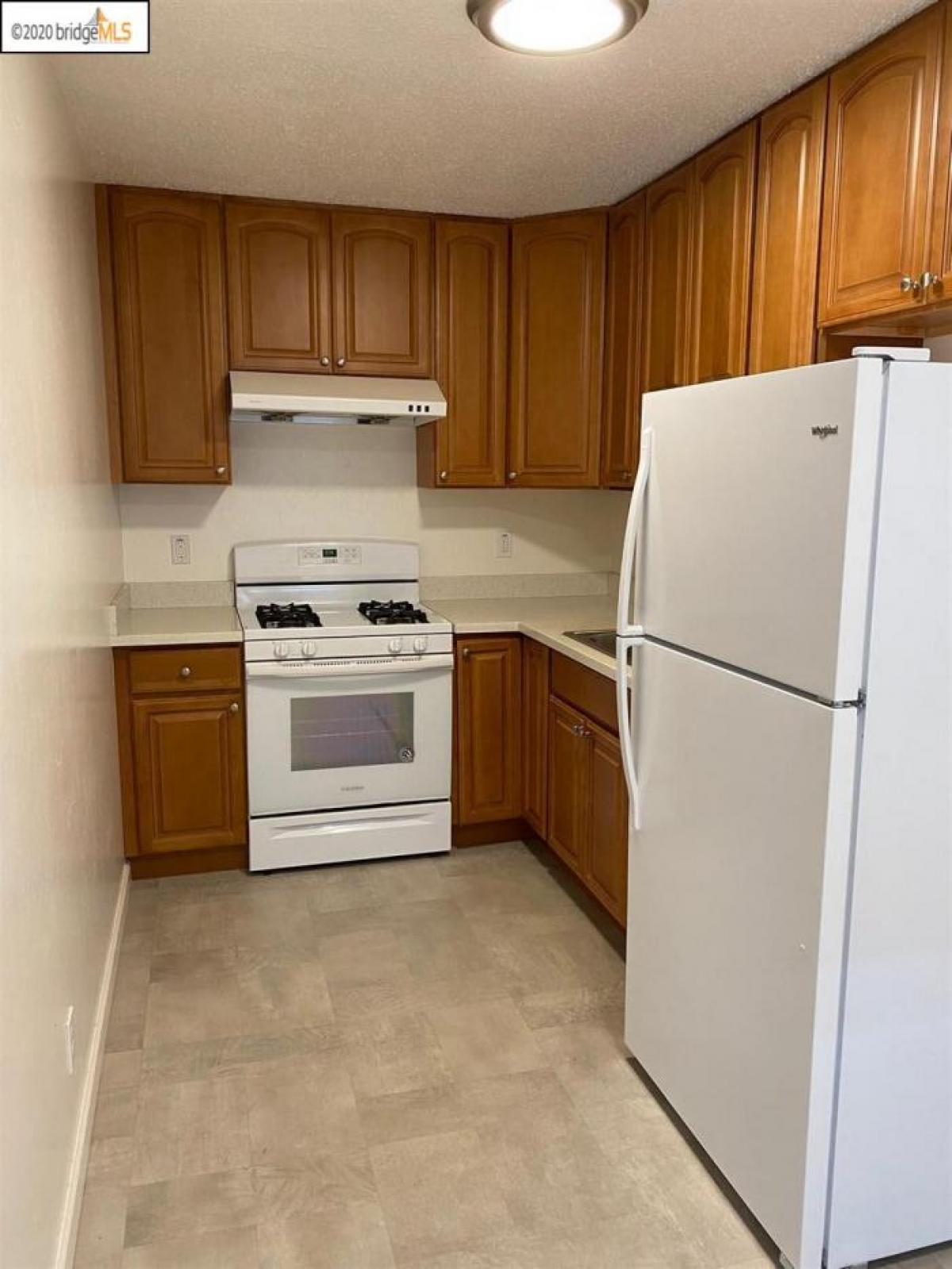 Picture of Apartment For Rent in El Cerrito, California, United States