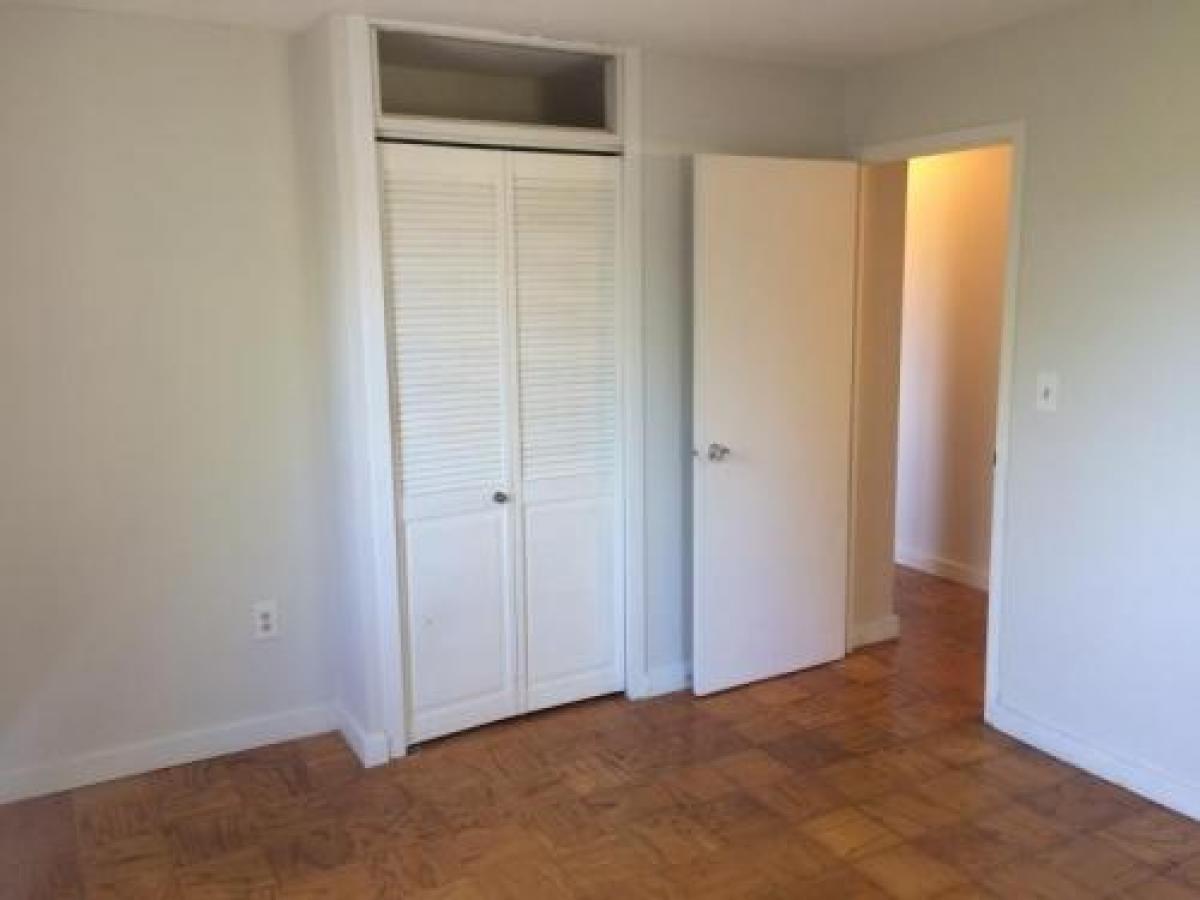 Picture of Condo For Rent in Belmont, Massachusetts, United States