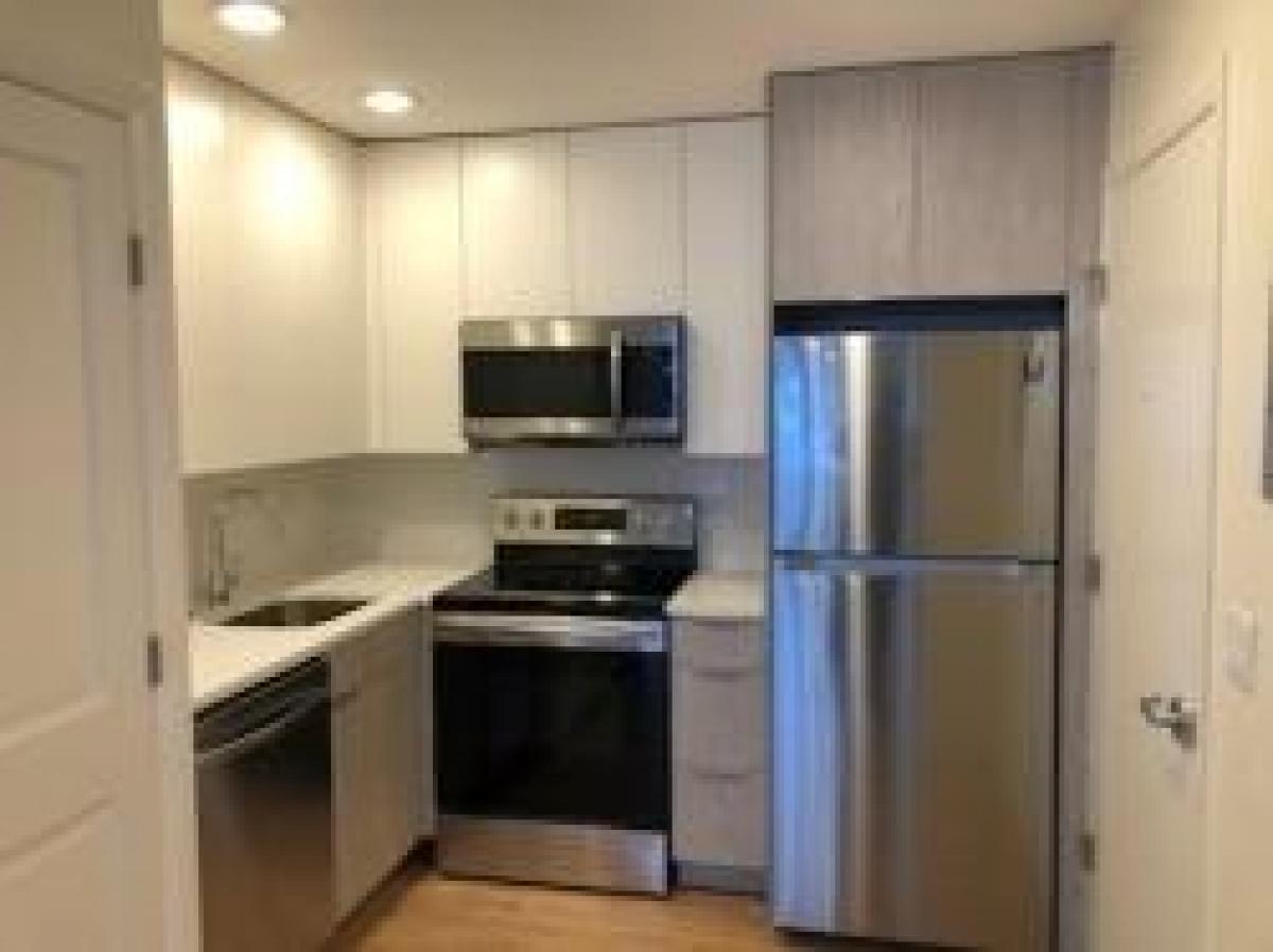 Picture of Condo For Rent in Mission Hill, Massachusetts, United States