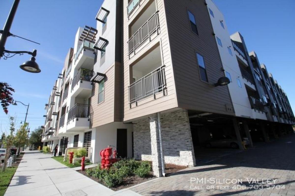 Picture of Condo For Rent in Santa Clara, California, United States