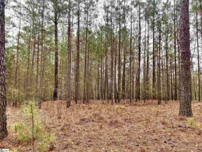 Residential Land For Sale in Six Mile, South Carolina